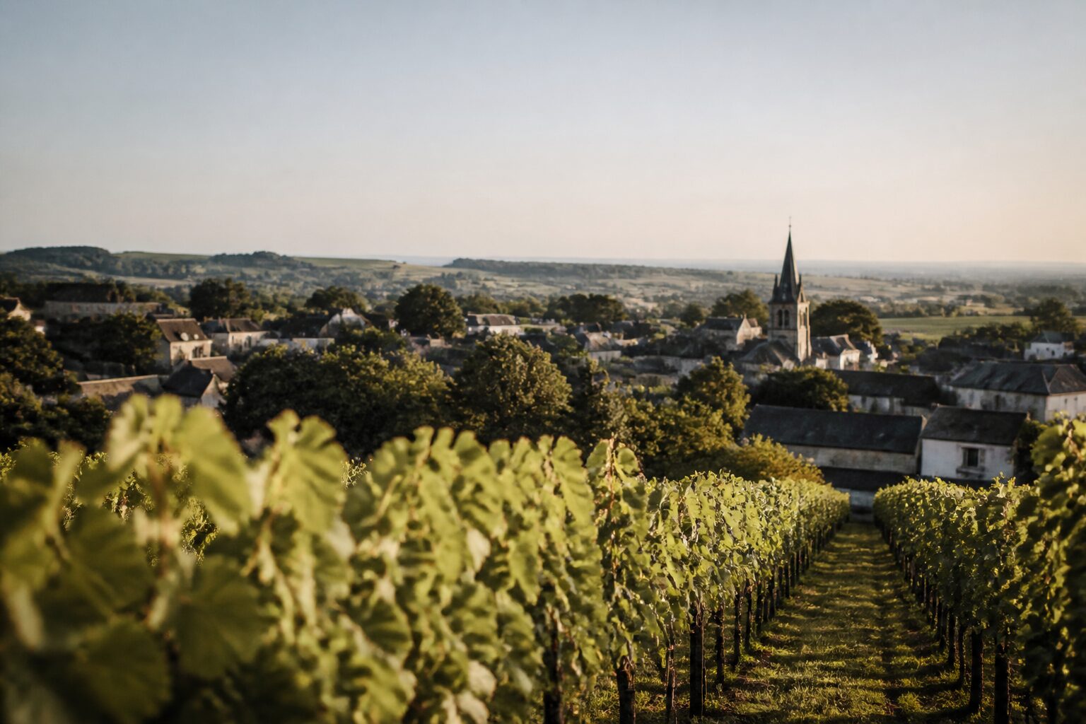 La Chapelle-Heulin : village viticole à 22 km de Nantes
