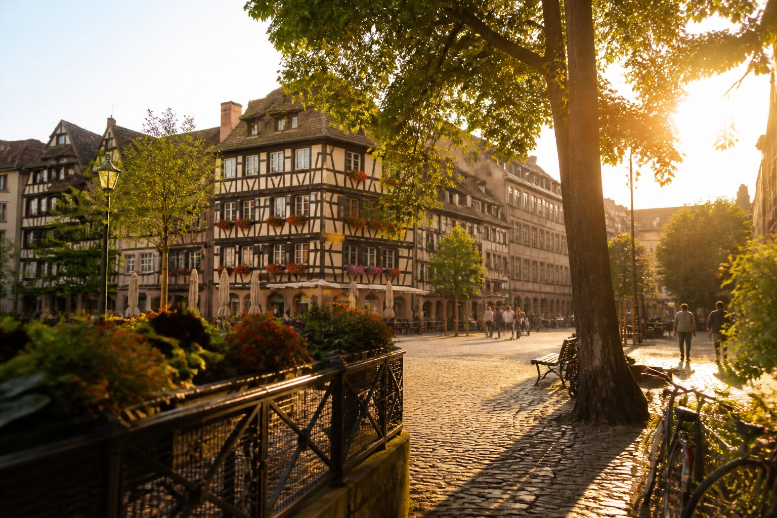 Rue de Strasbourg aux façades alsaciennes à colombages en lumière dorée, meilleurs quartiers strasbourg