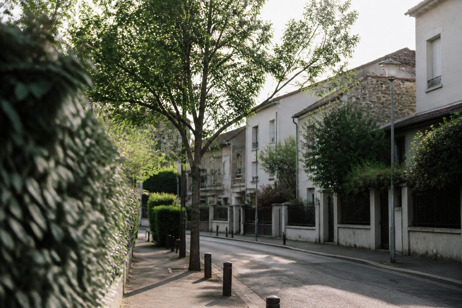 Vue d'une rue résidentielle calme à Nanterre, maisons individuelles et verdure, lumière matinale