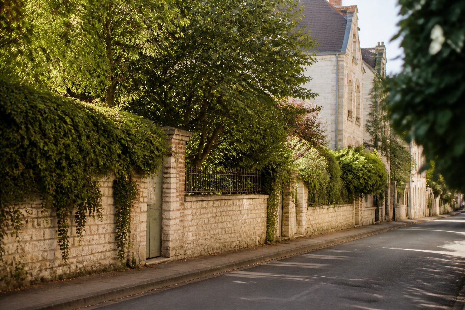 Vue d'une rue résidentielle tranquille de Meaux avec façades de pierre et végétation, lumière naturelle douce